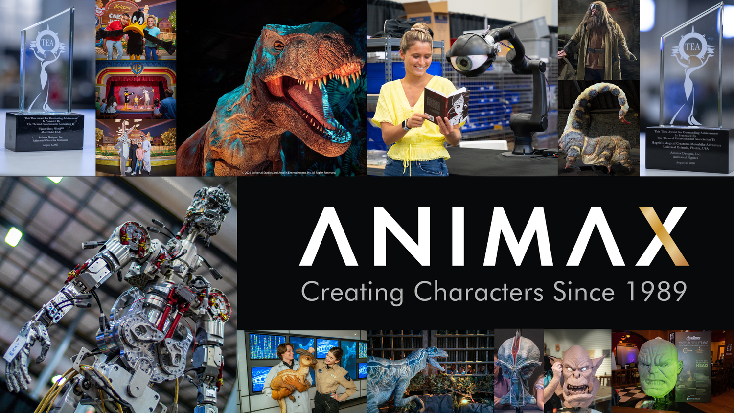 Animax Designs company logo