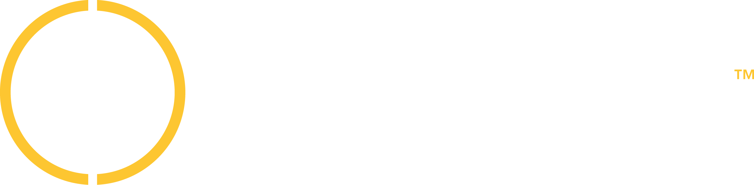 Cyberhawk company logo