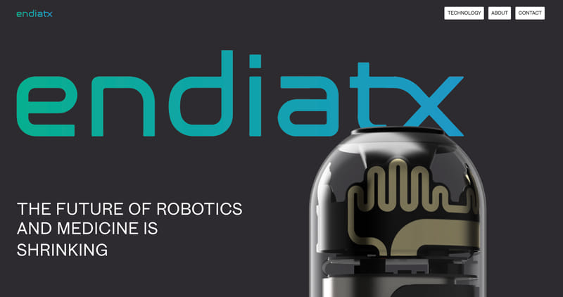 Endiatx company logo