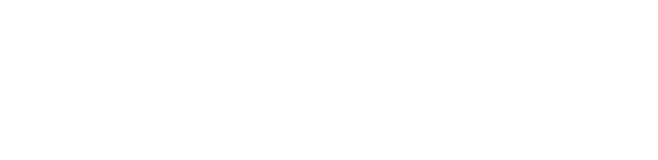 Exwayz company logo