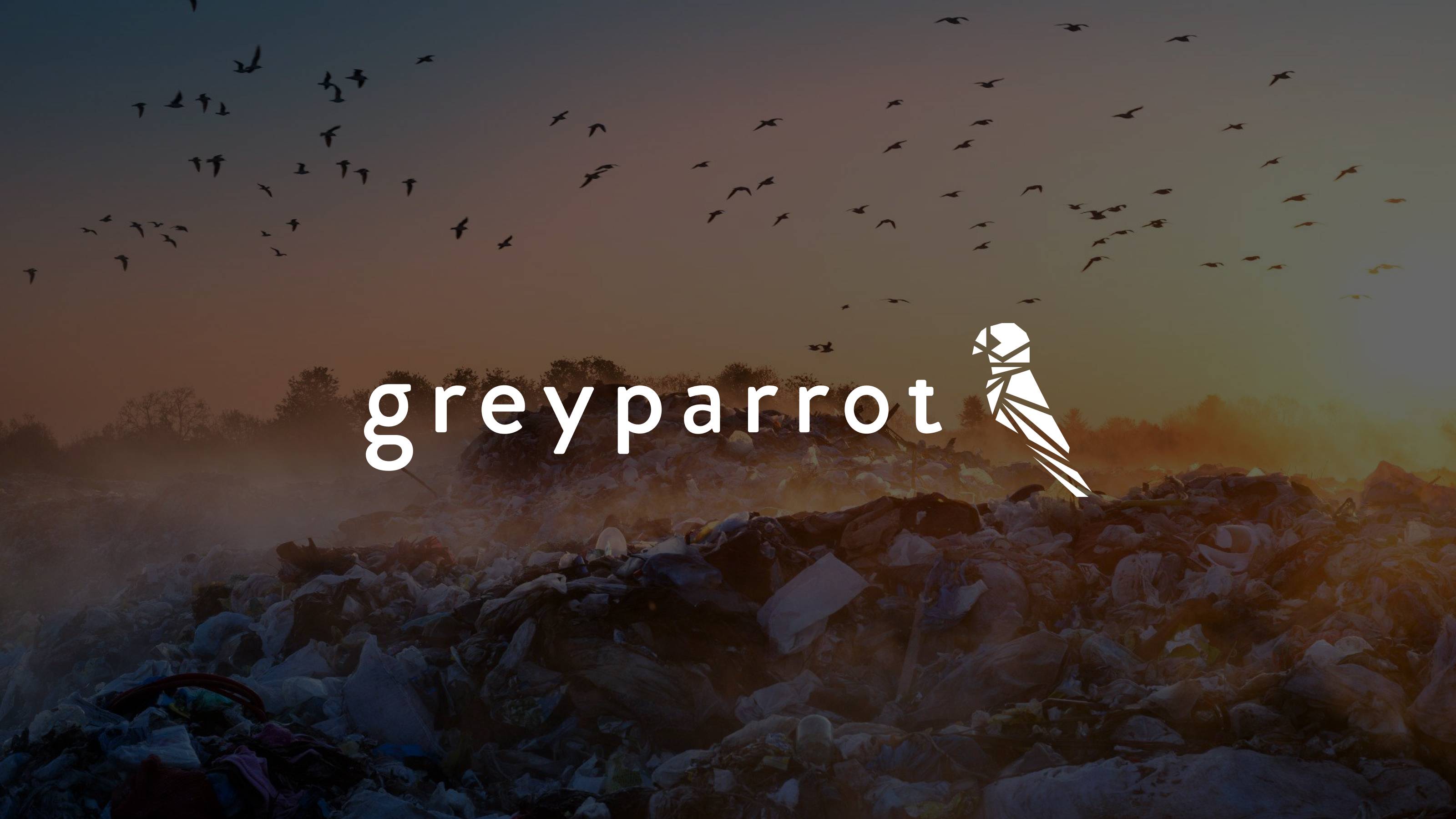 Greyparrot company logo
