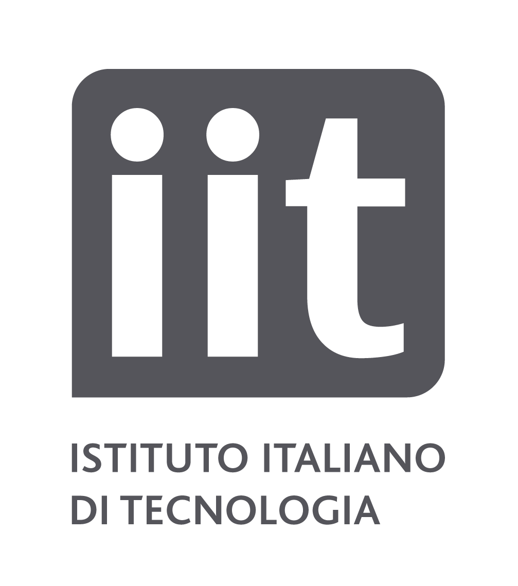IIT company logo
