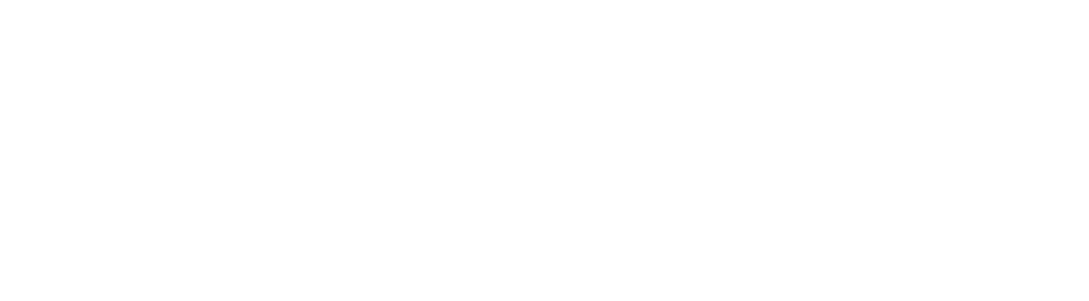 Partner Robotics company logo