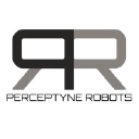 Perceptyne company logo