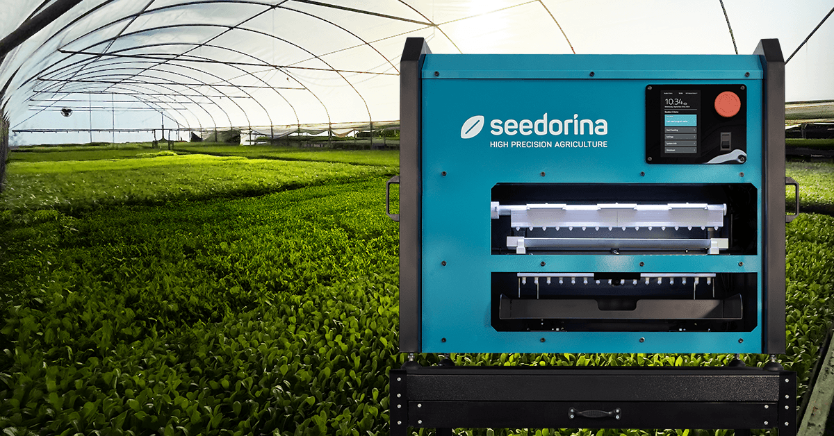 Seedorina company logo