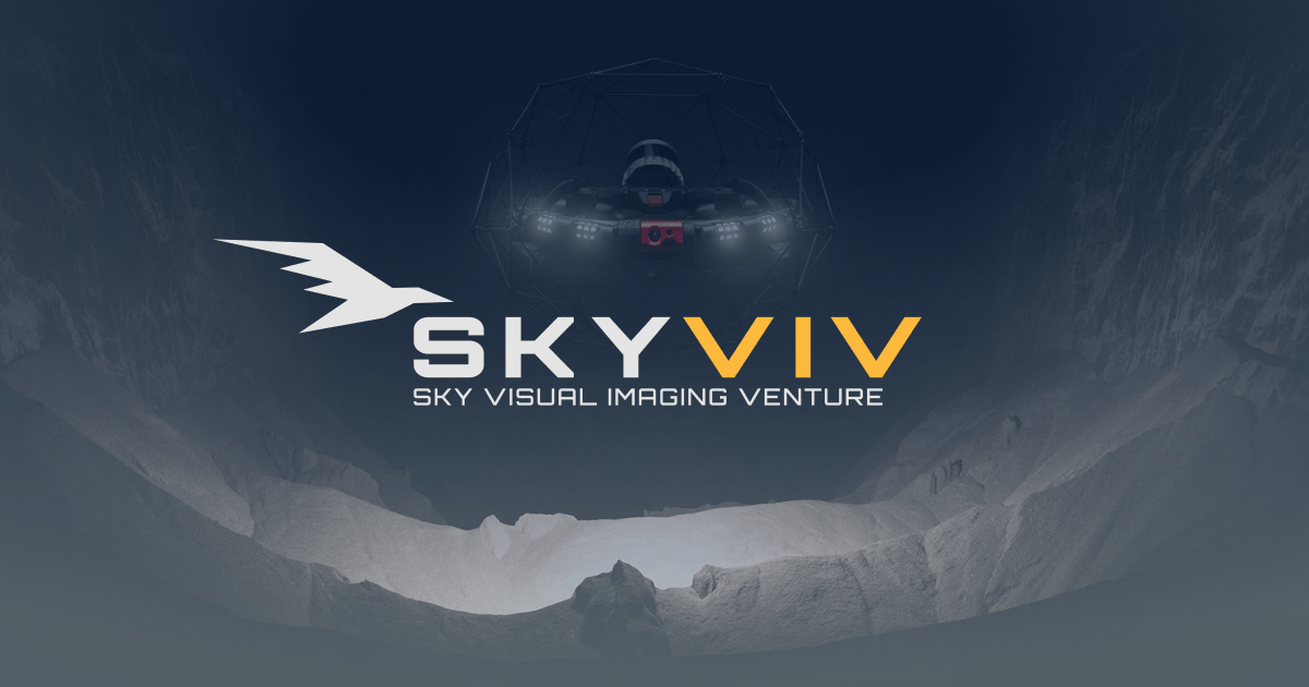 SKYVIV company logo