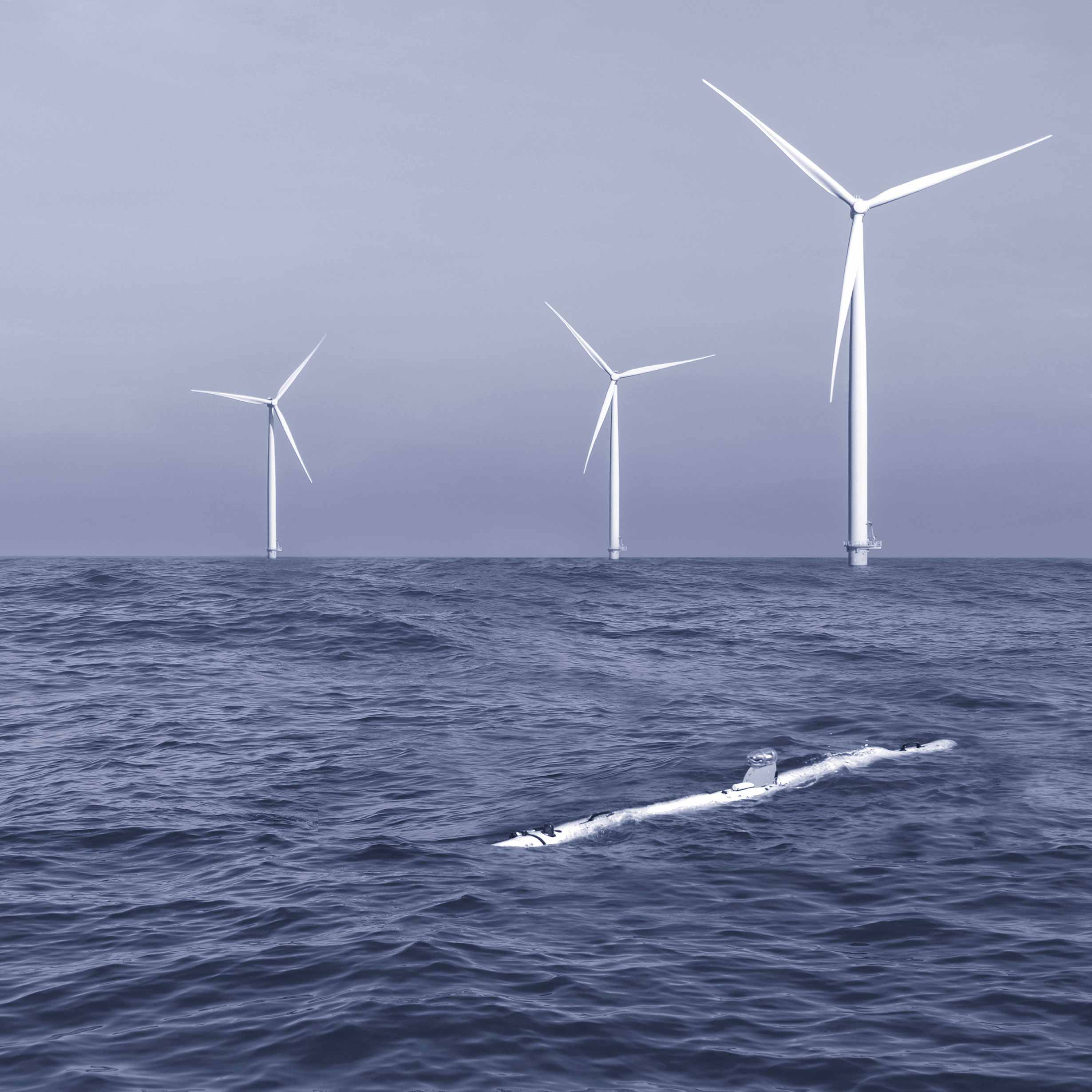 Terradepth company logo