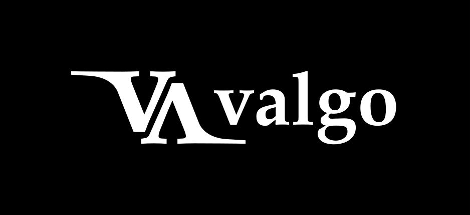 Valgo company logo