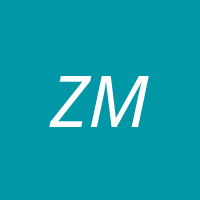 Zongmu Technology company logo